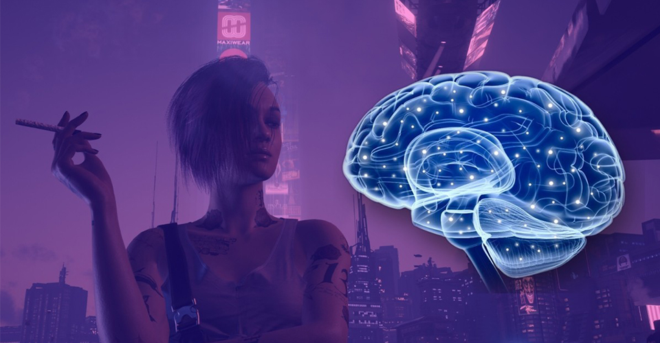 Cyberpunk 2077 стал причиной эпилептического припадка у журналистки